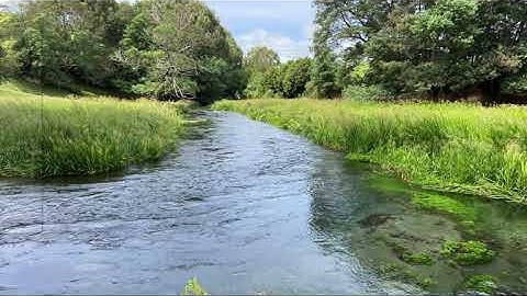 06 02 Template (Creating Dashboard in WordPress Admin Area with Custom Table & Google Chart)