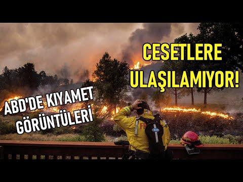 Video: Güney Kaliforniya Orman Yangınları Ve Bölgedeki Hayvanlar Üzerindeki Etkileri