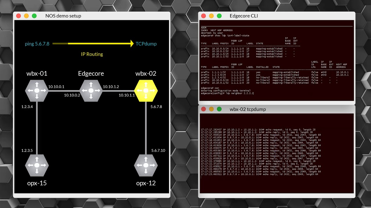 Implement MPLS on white box switches with the Metaswitch NOS Toolkit