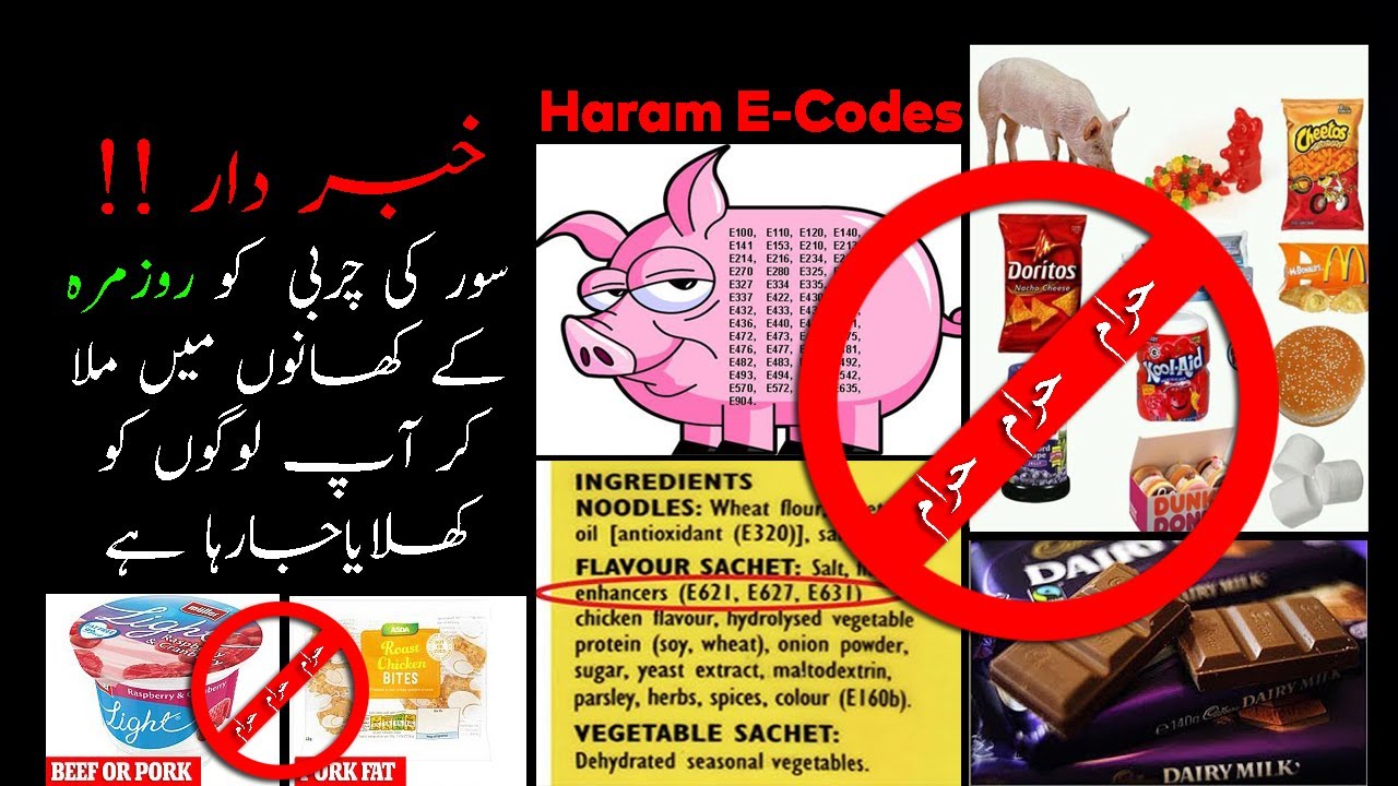 What Are E Ingredient Codes Rozmara Ki Chezon Mein Pig Ki Charbi Ka what-are-e-ingredient-codes-rozmara-ki-chezon-mein-pig-ki-charbi-ka