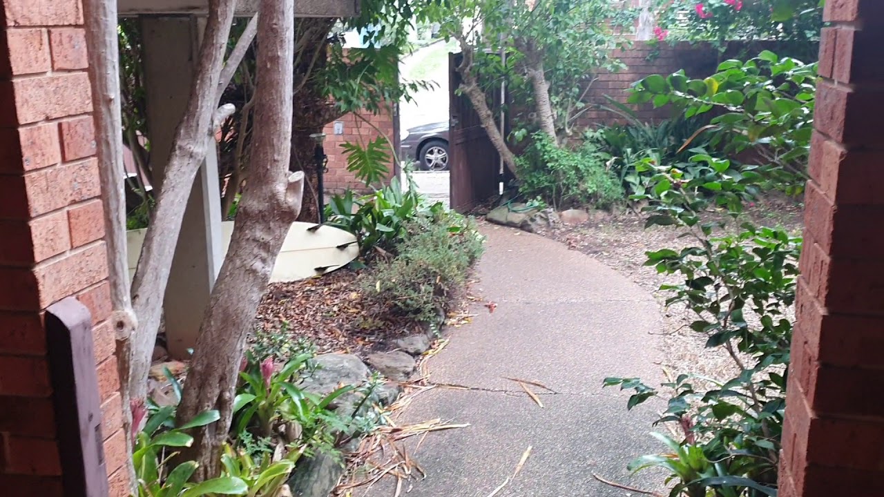 For Lease 1/24 Harrow Road, Stanmore YouTube