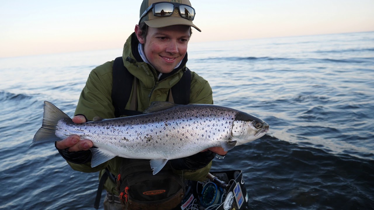 Havsöringsfiske på Gotland med Niklaus Bauer & Jaktia Visby