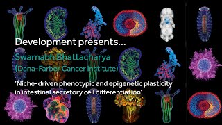 Development presents... Swarnabh Bhattacharya