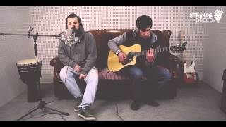 Video thumbnail of "Kussondulola - Pim Pam Pum ft Manu Chau (Strange Breed acoustic cover)"