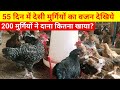 55 दिन में देसी मुर्गियों का वजन देखिये(Local chicken weight in day 55)