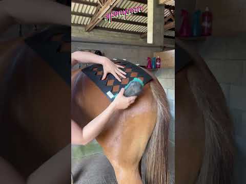Vidéo: Comment un cheval peut-il tirer une charrette physique ?