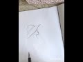 Pencil sketching