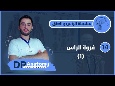 Dr. hamza hendi | طبقات الفروة و عضلاتها