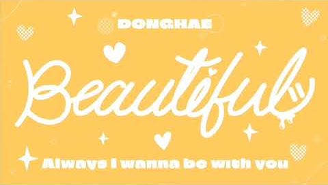 Super Junior D&E Lee donghae - Beautiful Japan solo concert songs