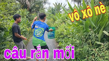 Tuyệt Chiêu Câu Rắn Mối Mùa Nước Lũ Giật Đã Tay Luôn # SĂN BẮT ĐỒNG THÁP #