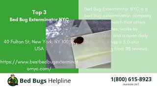 Top 3 Bed Bug Removal in Greenwich