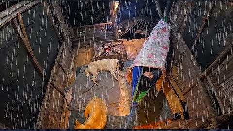 ใช้ชีวิตบ้านต้นไม้ ฝนตกหนักทั้งวันทั้งคืน หาเก็บผัก หน่อไม้มาทำกิน วันนี้เจ้าเคเป็นมือกล้อง