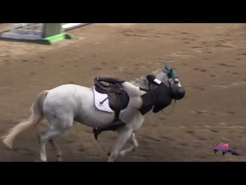 live-it-up---horse-bloopers-2017