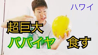 パパイヤのおすすめの食べ方を紹介！【ハワイ　フルーツ】