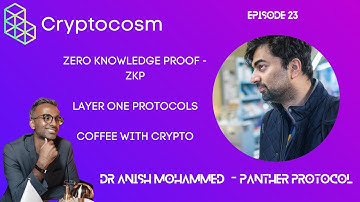 Crypto & Blockchain Conversations With Dr. Anish Mohammed -  ZKP, Cybersecurity, L1 Protocols etc.