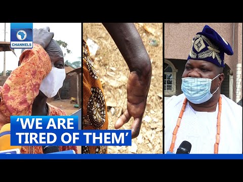 Herders Attacks: 'We Cannot Endure It Anymore' Ogun Farmers Narrate Ordeal