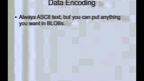 DEF CON 15 - Zed Shaw - Saving the Internet with Hate