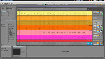 Ableton - Live Suite 10.1 x64,(05.2019) in Ubuntu 19.04.