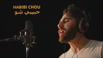 Rudy Ayoub - Habibi Chou (Official Music Video)