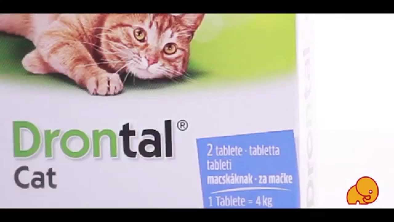 drontal cat féreghajto tabletta