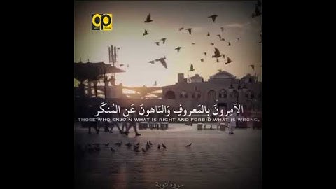 التّائِبُون || آيات من سورة التوبة