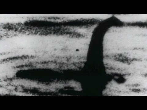 Museum Tried to Have Loch Ness Monster Killed