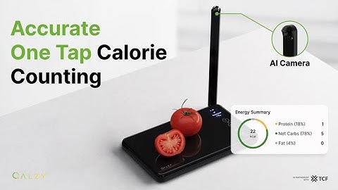 Qalzy: World’s First AI Scale Just Changed Dieting Forever!