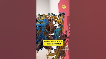 Building a Startup: Expectations vs. Reality #spotlighten #spotlight #podcast #reality #expectations