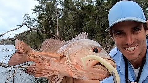 MY FAVOURITE MANGROVE JACK SKIP CASTING PLASTICS