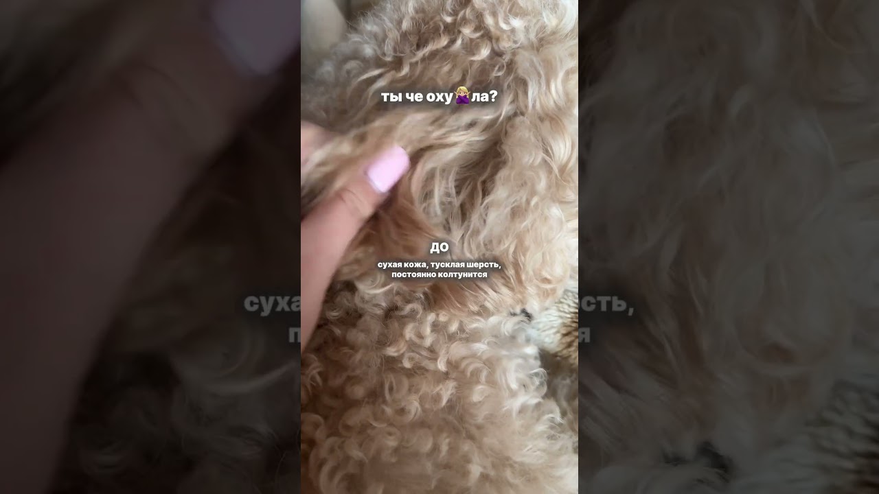 Заходи в комментарии👉🏻 