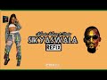 Sikyaswala (Remix)- Karole Kasita ft Radio (Lyrics Video)