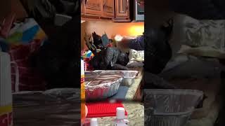 Man Overcooks And Burns Turkey For Thanksgiving Dinner