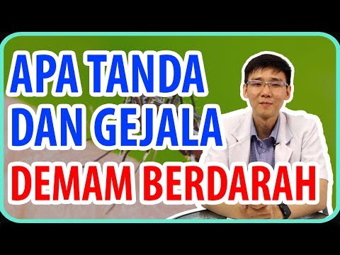 Apa Saja Tanda dan Gejala Demam Berdarah?