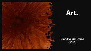 Archives - Blood Vessel Demo, No Cells (2012)