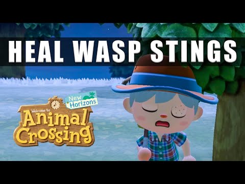 Video: Animal Crossing Wasps: Hvordan Fange Veps, Unngå Stikk Og Lage Medisin I New Horizons Forklart