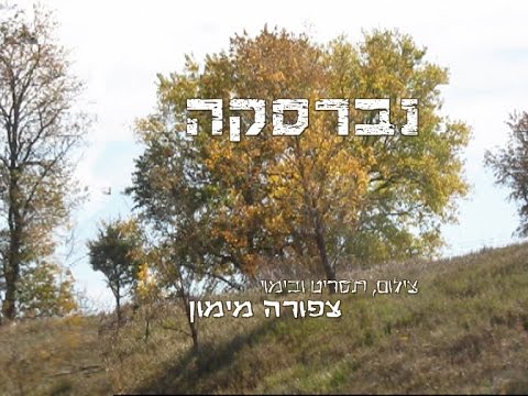 נברסקה בסתיו