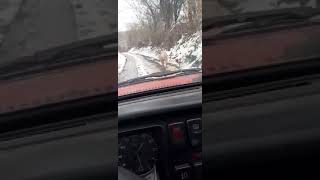 Gaginom Golf 2 Dvojkom Prati Krmacu Do Muzjaka, Mrzi Ga Da Ide Peske Za Njom