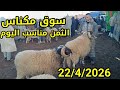 مباشرة من أربعاء مكناس 22 4 2026 أثمنة حولي عيد الأضحى والخروف والخروفة النعجة ماعز فرجة ممتعة
