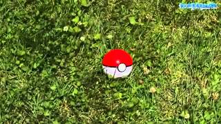 Pokemon vida real ( Parte 1,2,3,4,5)