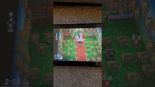 Reese and Cyrus theme garden wedding decorated this afternoon on animal crossing New Horizon’s ￼