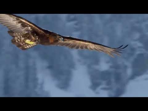 Что символизирует флаг Казахстана