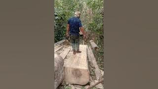 belajar gisek kayu.