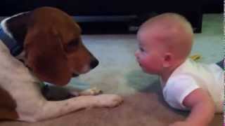 Ребенок против собаки