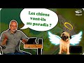 Les animaux ontils une me 