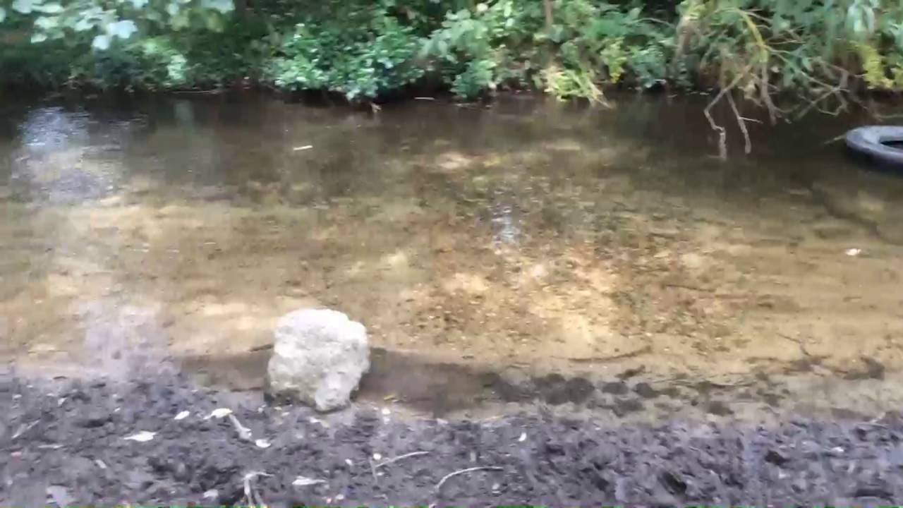 Darent Valley Path 3 (Sutton-At-Hone)