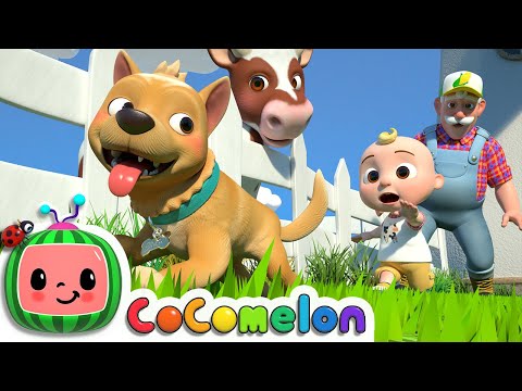 Bingo (Farm Version) | CoComelon Nursery Rhymes & Kids Songs