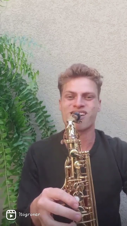 Cover Sax(The way you say my name) Michael fay Alex Schneider #musiceletronic #dj #saxalto #music