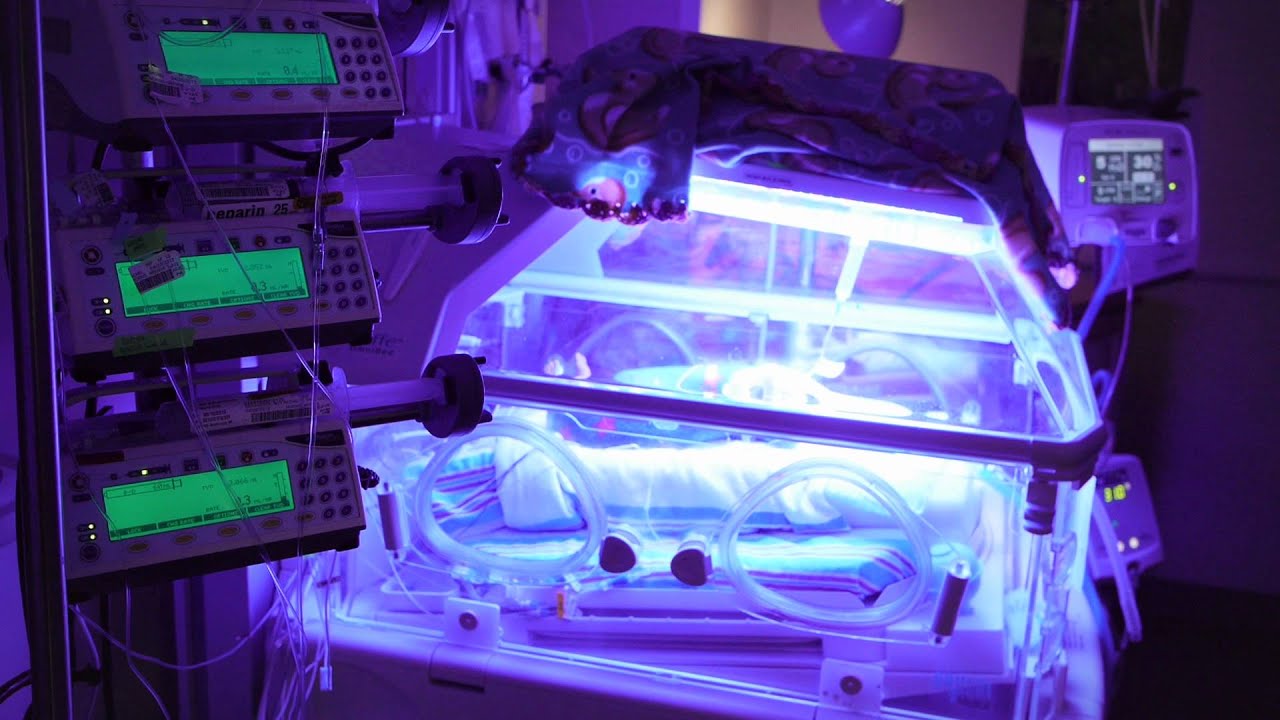 CMN - Giraffe OMNI Bed - YouTube