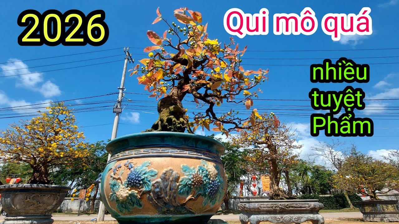 Triển lãm Mai vàng An Nhơn 2026, nhiều tác phẩm nghệ thuật 