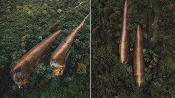 10 Mysterious Discoveries Science Still Can